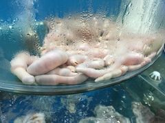 -聚德福海鲜家常菜(刘庄店)