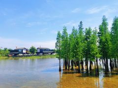 -白鹭湾湿地公园