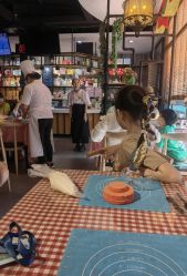 -保丽宝泰母婴护理院·月子中心·产康·中医(常州店)