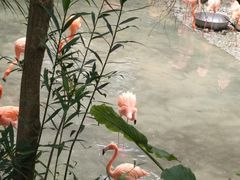 -东部华侨城