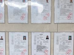 -半岛宠物医院24小时(白果林店)