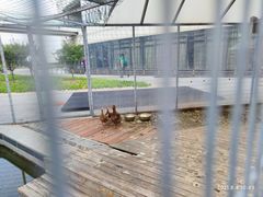 -北京园博大酒店