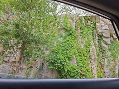 -泰山风景名胜区