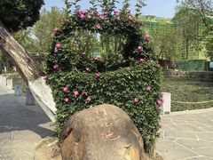 -花溪公园