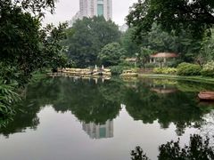 -晓港公园