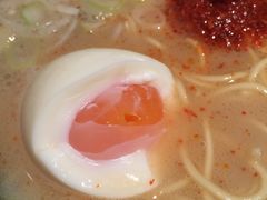 -一蘭拉面(新宿中央东口店)