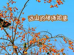 -东天目山风景区