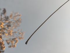 -耍盆友·重庆江湖菜(百子湾店)