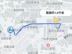 -蜜肆动物奶油蛋糕·个性定制·下午茶甜品