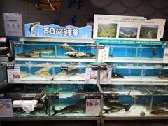 -盒马鲜生(莱蒙都会店)