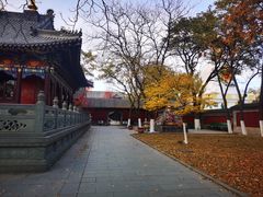 -护国法轮寺