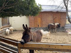 -HERRE·FARM 赫尔露营农场·团建聚会包场