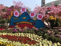 -南山植物园