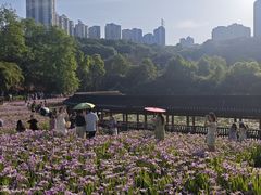 -龙头寺公园