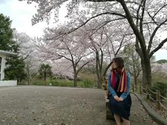 -汉拿树木园
