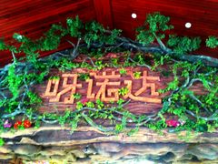 -呀诺达热带雨林