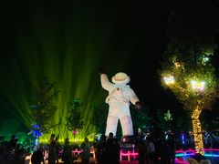 -枫林花海