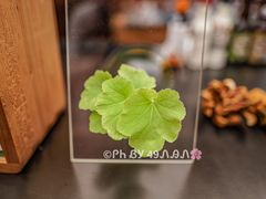 -二酉书店TOYOU BOOKS