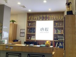 -心联形象设计·流星染