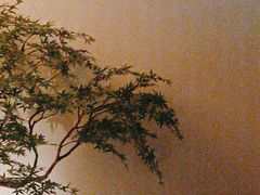 -玖五京菜(杭州城北万象城店)
