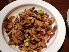 小炒口蘑-成都娃娃花园餐厅 (南艺旗舰店)