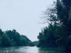 -西溪国家湿地公园