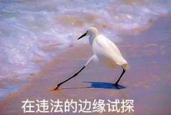 -马博士儿童游泳中心(合肥融创茂旗舰店)