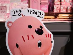 -KAKAO FRIENDS(弘大店)