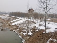 -东郊湿地公园