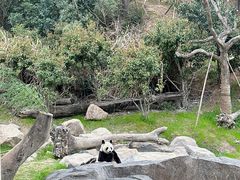 -宁波野生动物园