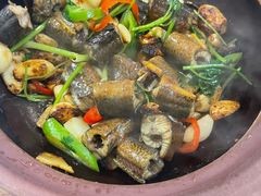 -津津菜馆(绝没分店)