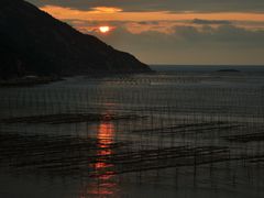 -北岐滩涂