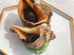鸿山角螺-小堂宴·老厦门码头小炒(厦大店)