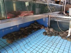 -侠成水上农庄(工业大道店)