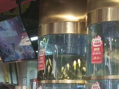 -蜀滋香鲜鱼美蛙火锅(339店)
