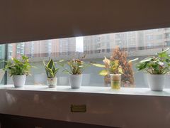 -青山上品咖啡·日式法兰绒手冲(高岛屋百货店)