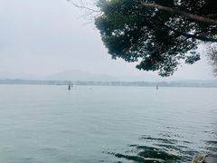 -西湖游船