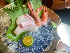 -鸟鹏烧鸟居酒屋(仁恒梦中心店)