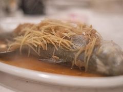 -光头匠