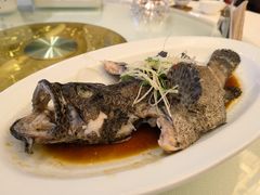 -顺峰(农展馆店)