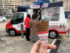 -富豪雪糕车流动点(尖沙咀店)