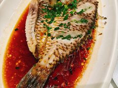 -华盛丰温州大排档(东三环南路店)