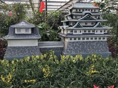 -南宫五洲植物乐园