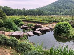 -中国茶叶博物馆(双峰馆区)