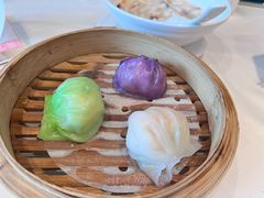 -新兴家喻酒家·羊城名宴(昌岗店)