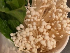 -同仁四季椰子鸡(罗湖国贸店)
