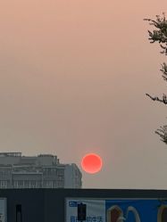 -藤野造型烫染·漂发