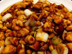 宫保鸡丁-眉州东坡·熊猫主题餐厅(枫蓝店)