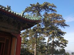 -普乐寺