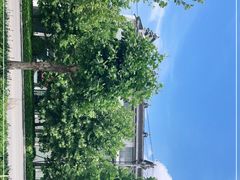 -龙口南山旅游景区